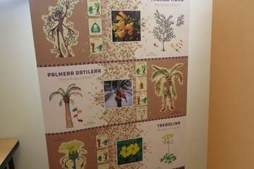 Una alumna del Colegio Hilda Zudán (Telde) gana el concurso escolar de dibujos de invertebrados/TA.